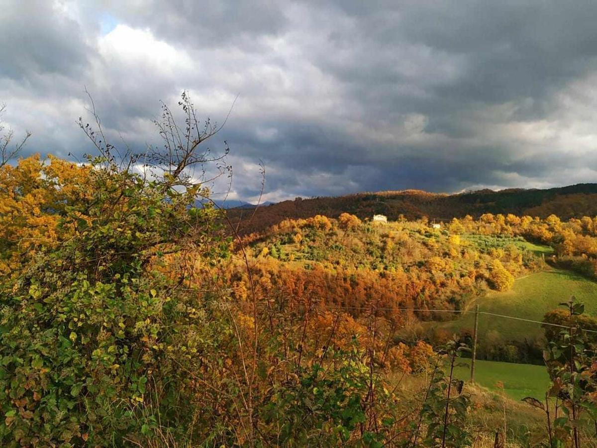 구비오 Agriturismo Montesalce 빌라 외부 사진